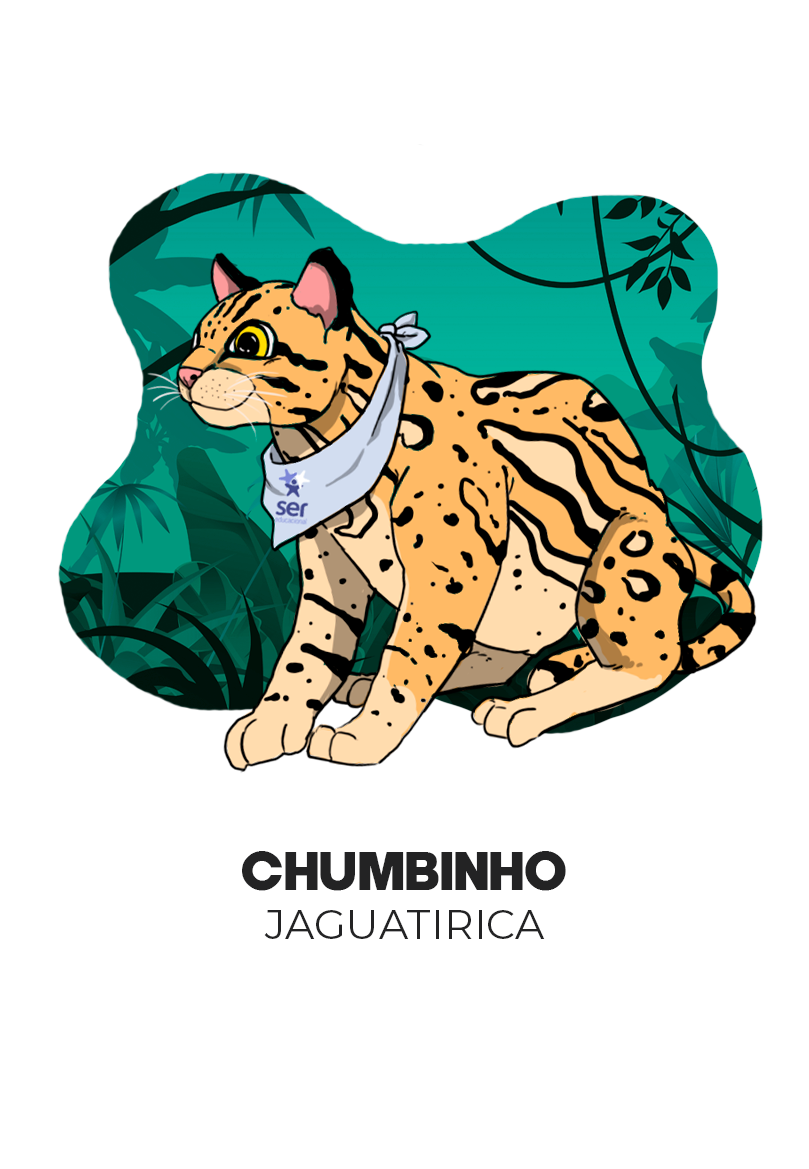 Photo of Ocelot