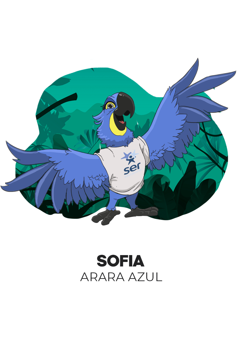 Photo of Hyacinth Macaw